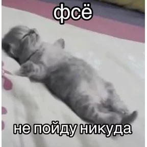 Стикер