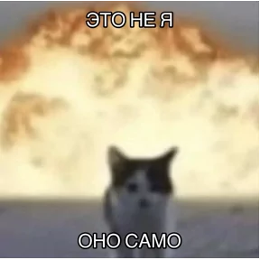 Стикер