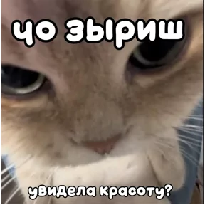 Стикер