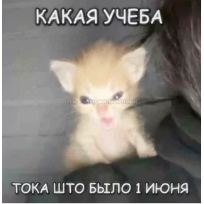 Стикер
