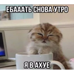 Стикер