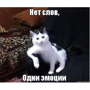 Стикер