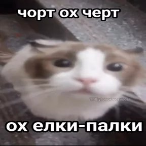 Стикер