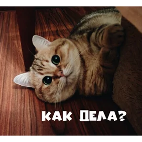 Стикер