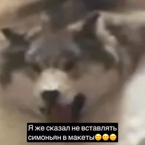 братский драккар — стикер для MAX