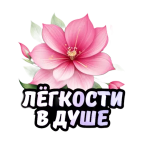 Стикер