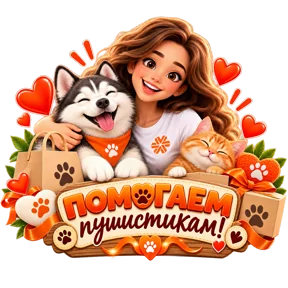 Стикер