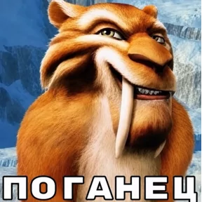 Стикер