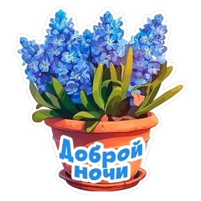 Стикер