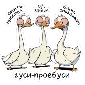 Стикер