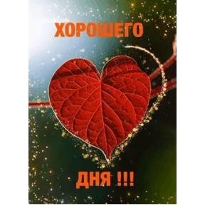 Стикер