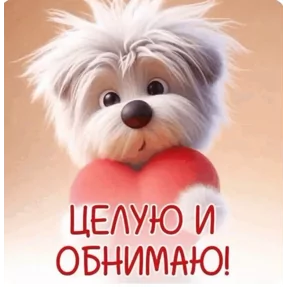 Стикер