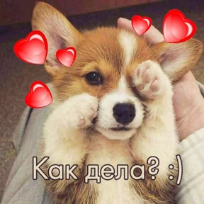 Стикер