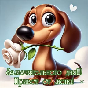 Стикер