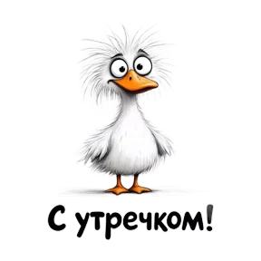Стикер