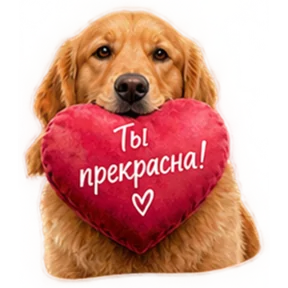 Стикер