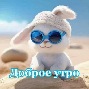 Стикер