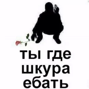 Стикер