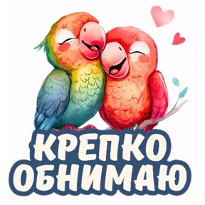Стикер