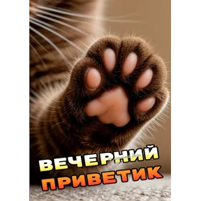 Стикер