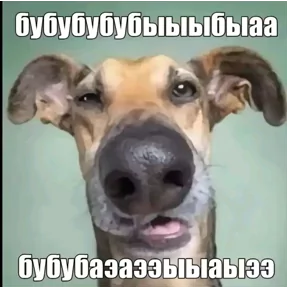 Стикер