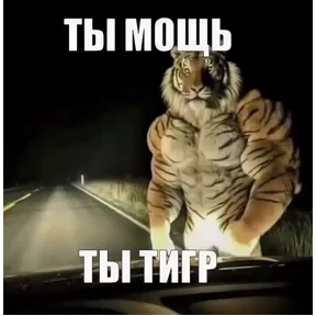 Стикер