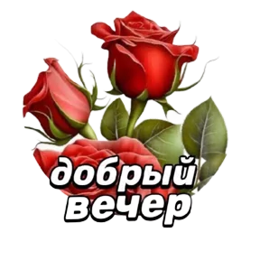 Стикер