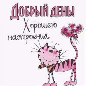 Стикер