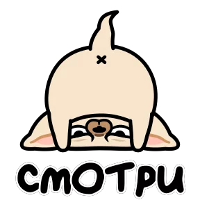 Стикер