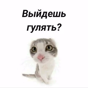Стикер