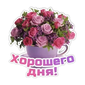Стикер