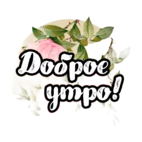 Публикация