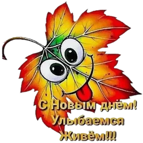 Стикер