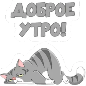 Стикер