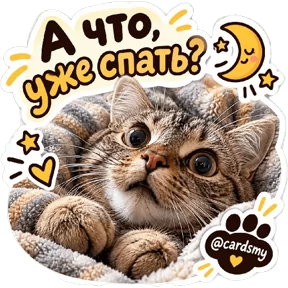 Стикер