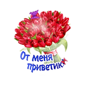Стикер