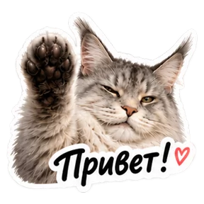 Стикер