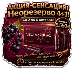 Фото — 30 сентября 2026 г. в 01:06:00.154