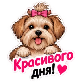 Стикер