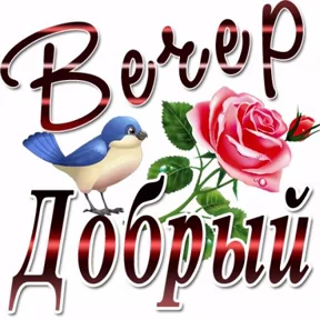 Стикер