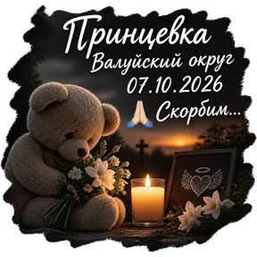 Публикация