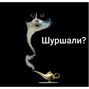 Стикер