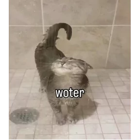 ✅ Открытки и поздравления - Подпишись