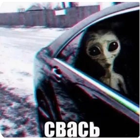 Стикер