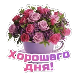 Стикер