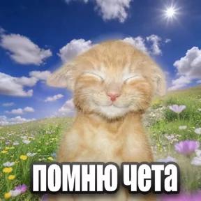 Стикер