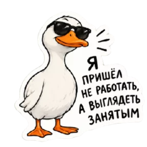 Стикер