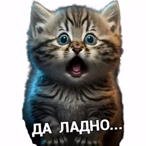 Стикер