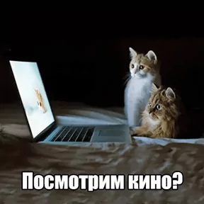 Стикер