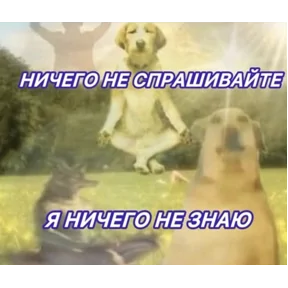 Стикер
